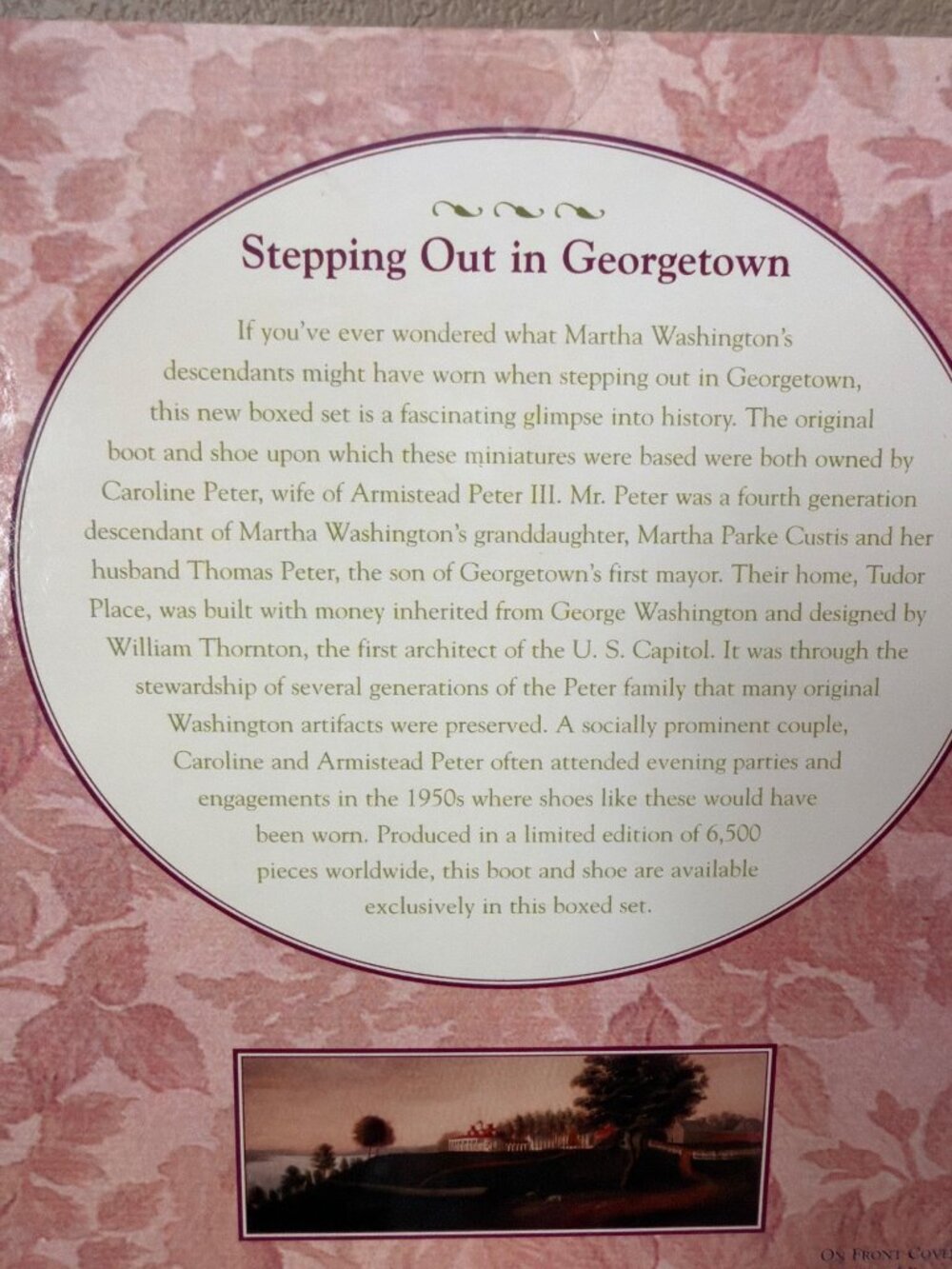 Raine Just the Right Shoe Stepping Out Georgetown #25782 Mount Vernon NEW - Picture 8 of 11